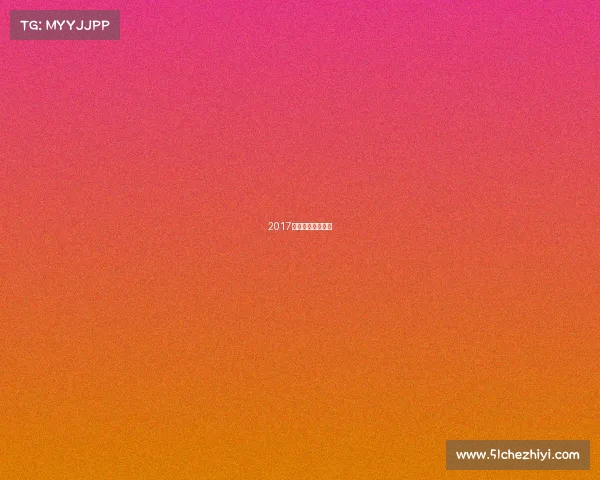 2017大脚赛车比赛视频